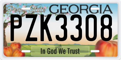 GA license plate PZK3308