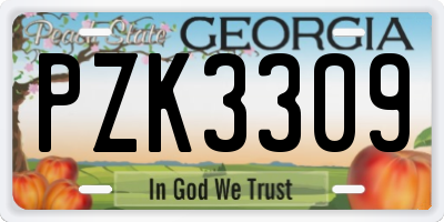 GA license plate PZK3309