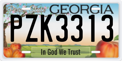 GA license plate PZK3313