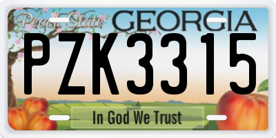 GA license plate PZK3315