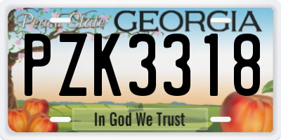 GA license plate PZK3318