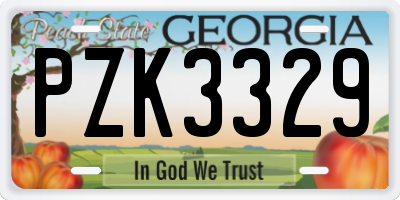 GA license plate PZK3329