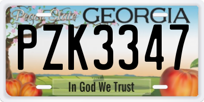 GA license plate PZK3347