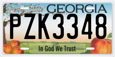 GA license plate PZK3348