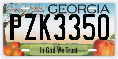 GA license plate PZK3350