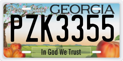GA license plate PZK3355