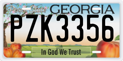 GA license plate PZK3356