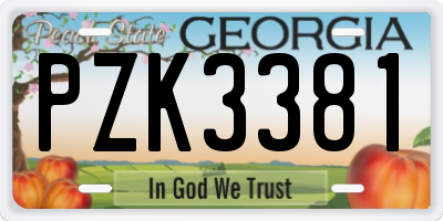 GA license plate PZK3381