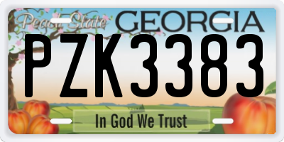 GA license plate PZK3383