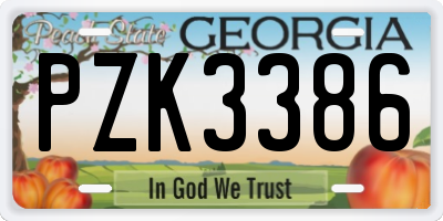 GA license plate PZK3386