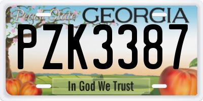 GA license plate PZK3387