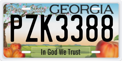 GA license plate PZK3388