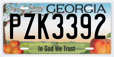 GA license plate PZK3392