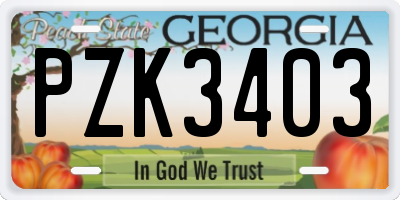 GA license plate PZK3403