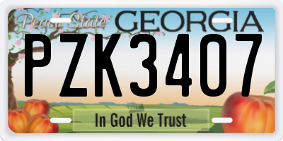 GA license plate PZK3407