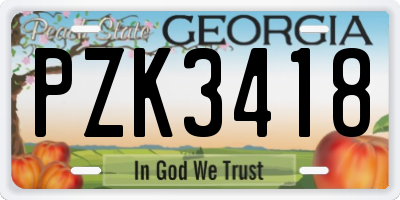 GA license plate PZK3418