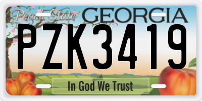 GA license plate PZK3419