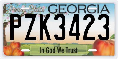 GA license plate PZK3423