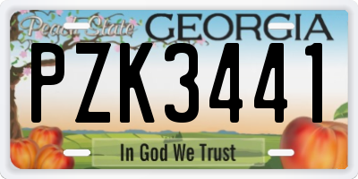 GA license plate PZK3441