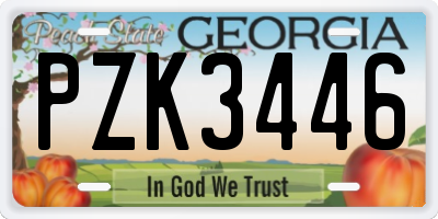 GA license plate PZK3446