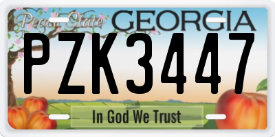 GA license plate PZK3447