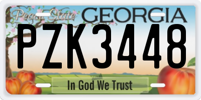 GA license plate PZK3448