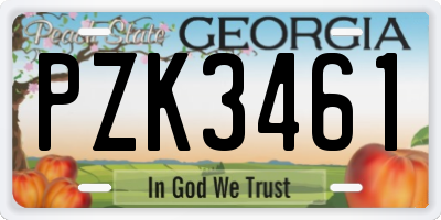 GA license plate PZK3461