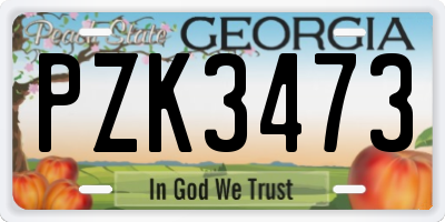 GA license plate PZK3473