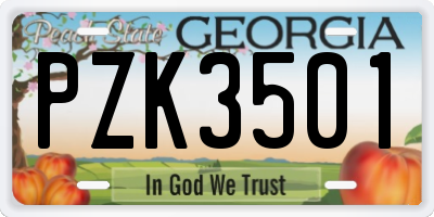 GA license plate PZK3501