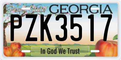 GA license plate PZK3517