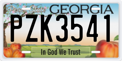 GA license plate PZK3541