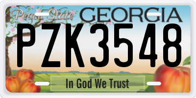 GA license plate PZK3548
