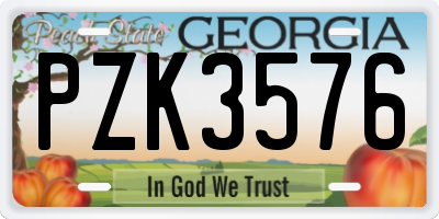 GA license plate PZK3576