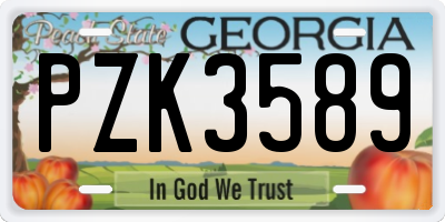 GA license plate PZK3589