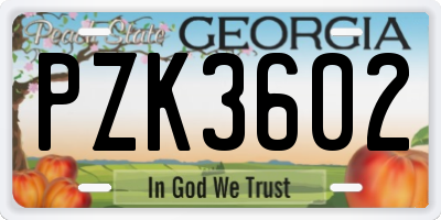GA license plate PZK3602