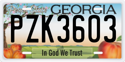 GA license plate PZK3603