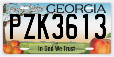 GA license plate PZK3613