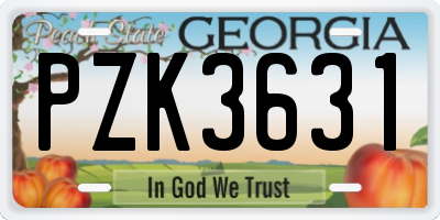 GA license plate PZK3631