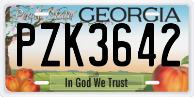 GA license plate PZK3642
