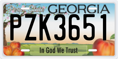 GA license plate PZK3651