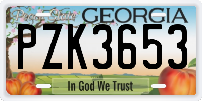GA license plate PZK3653