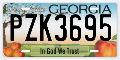 GA license plate PZK3695