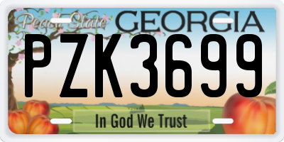 GA license plate PZK3699