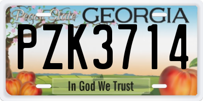 GA license plate PZK3714