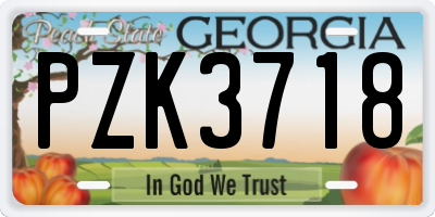 GA license plate PZK3718