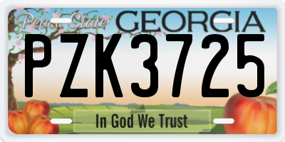 GA license plate PZK3725