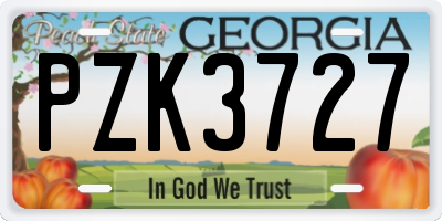 GA license plate PZK3727