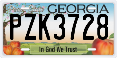 GA license plate PZK3728