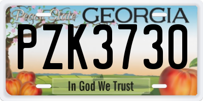 GA license plate PZK3730