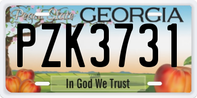 GA license plate PZK3731